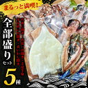 【ふるさと納税】 沼津 ひもの 5種 12枚 セット 真空パック 真アジ 真ほっけ さば半身 するめいか 真いわし 干物 詰め合わせ 魚介類 海産物 おつまみ ...