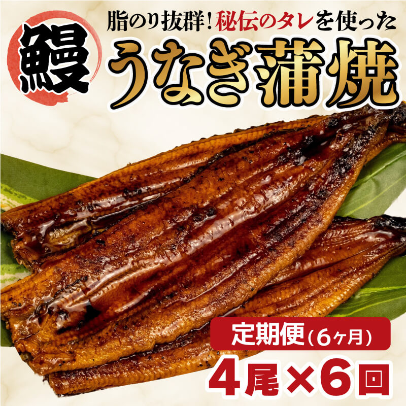 【ふるさと納税】 6ヶ月 定期便 まるが水産 脂ノリ抜群！う