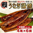【ふるさと納税】 【 6カ月定期便 】 うなぎ 蒲焼き 鰻 4尾 約500g 冷凍 半年 中国産 まるが水産 脂ノリ抜群 静岡