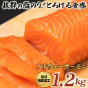 【ふるさと納税】まるが水産　ノルウェーサーモン　うれしいたっぷり1.2kg [MG002-p]