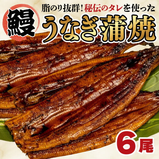 【ふるさと納税】 うなぎ 蒲焼き 6尾 中国産 鰻 蒲焼 ひ