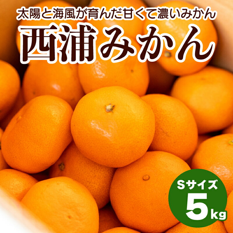 【ふるさと納税】 マルカオレンジセンターがお届けする 西浦みかん Sサイズ 5kg 柑橘 みかんのサムネイル