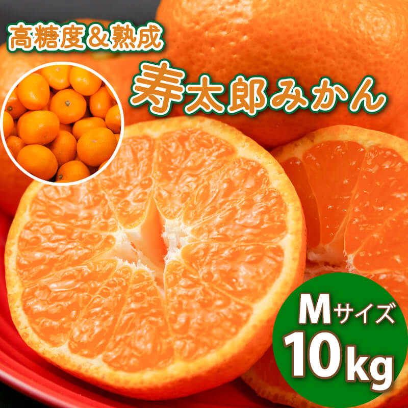 【ふるさと納税】 熟成 高糖度 寿太郎みかん M 10kg フルーツ 柑橘 甘い 果物 ミカン みかん 蜜柑 贈答用 ギフト 贈り物 お歳暮 年末年始 冬 旬 産地直送 自然の恵み 新鮮 美味しい おいしい 甘味 風味 香り 栄養 国産 静岡県産 沼津市のサムネイル