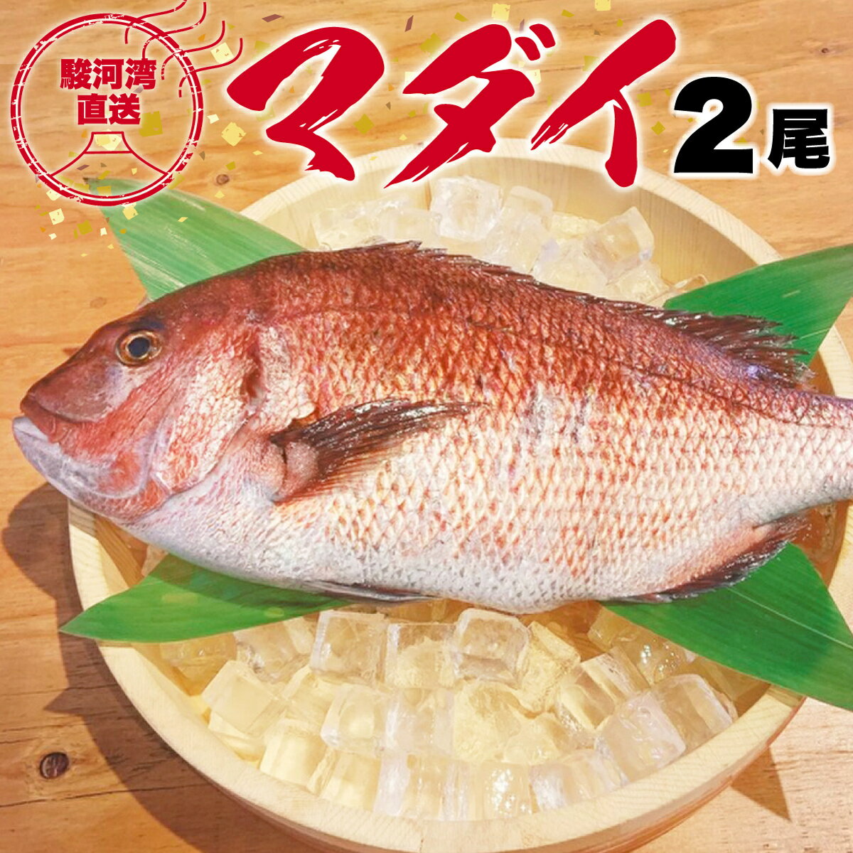 真鯛 タイ 2尾 約5-6人前 鮮魚 活き締め お食い初め 塩焼き 鯛しゃぶ 刺身 水揚げ後 直送