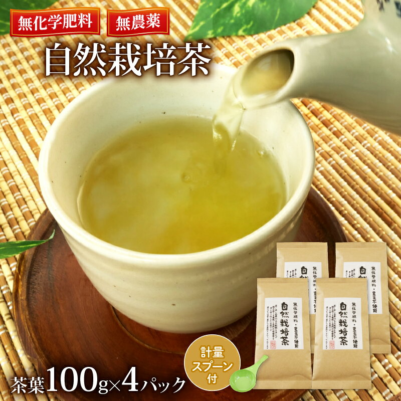 自然栽培茶 無化学肥料 無農薬 100g 4パック 計 400g 静岡茶 緑茶 茶葉 日本茶 計量スプーン付き