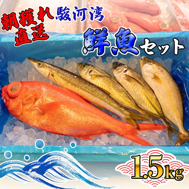 6位! 口コミ数「1件」評価「3」 旬 鮮魚 セット 1.5kg 朝獲れ 沼津 駿河湾 金目鯛 鯵