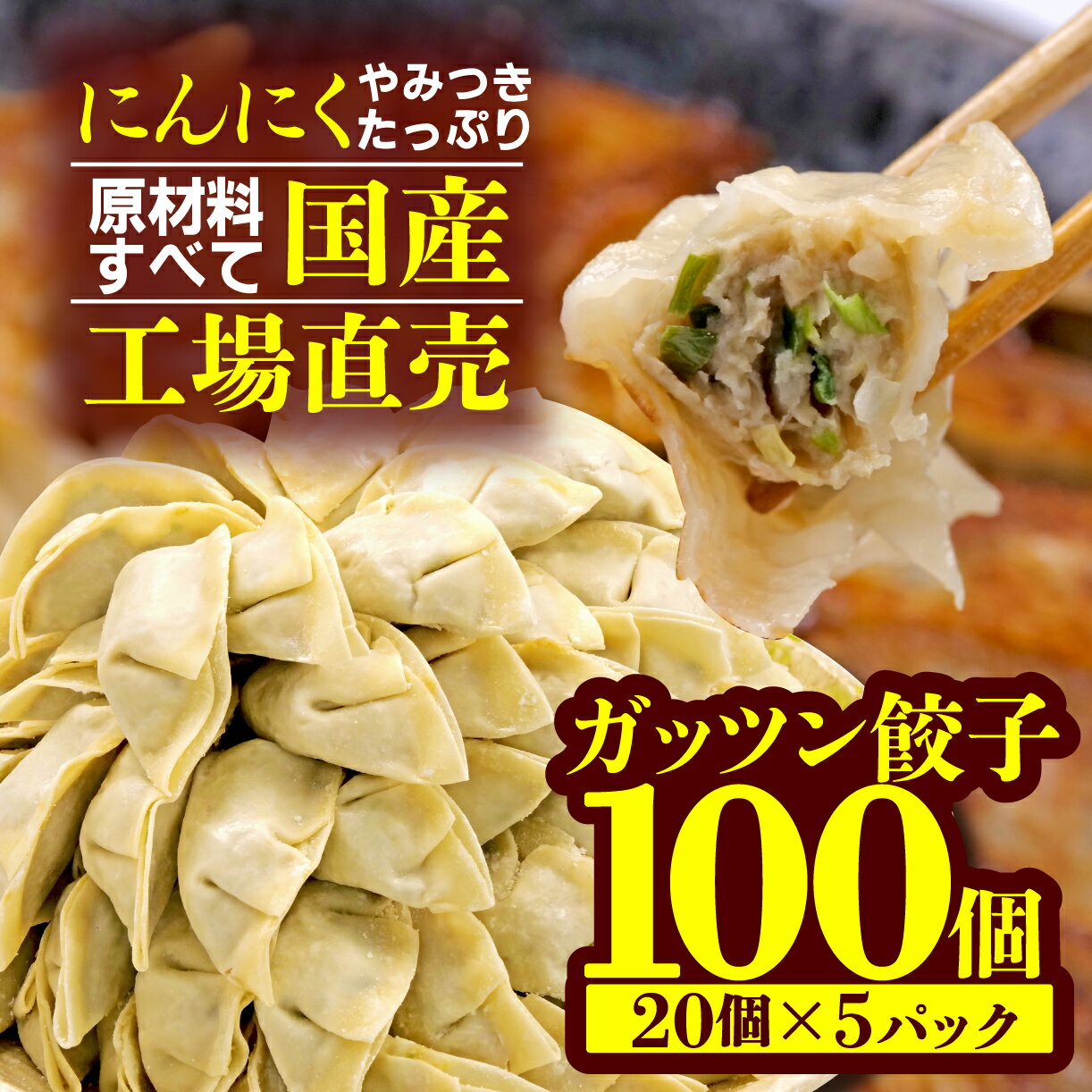 餃子 にんにく 100個 20個 5パック ジューシー 冷凍 個分け ガッツン餃子 松福 国産 豚肉 おつまみ