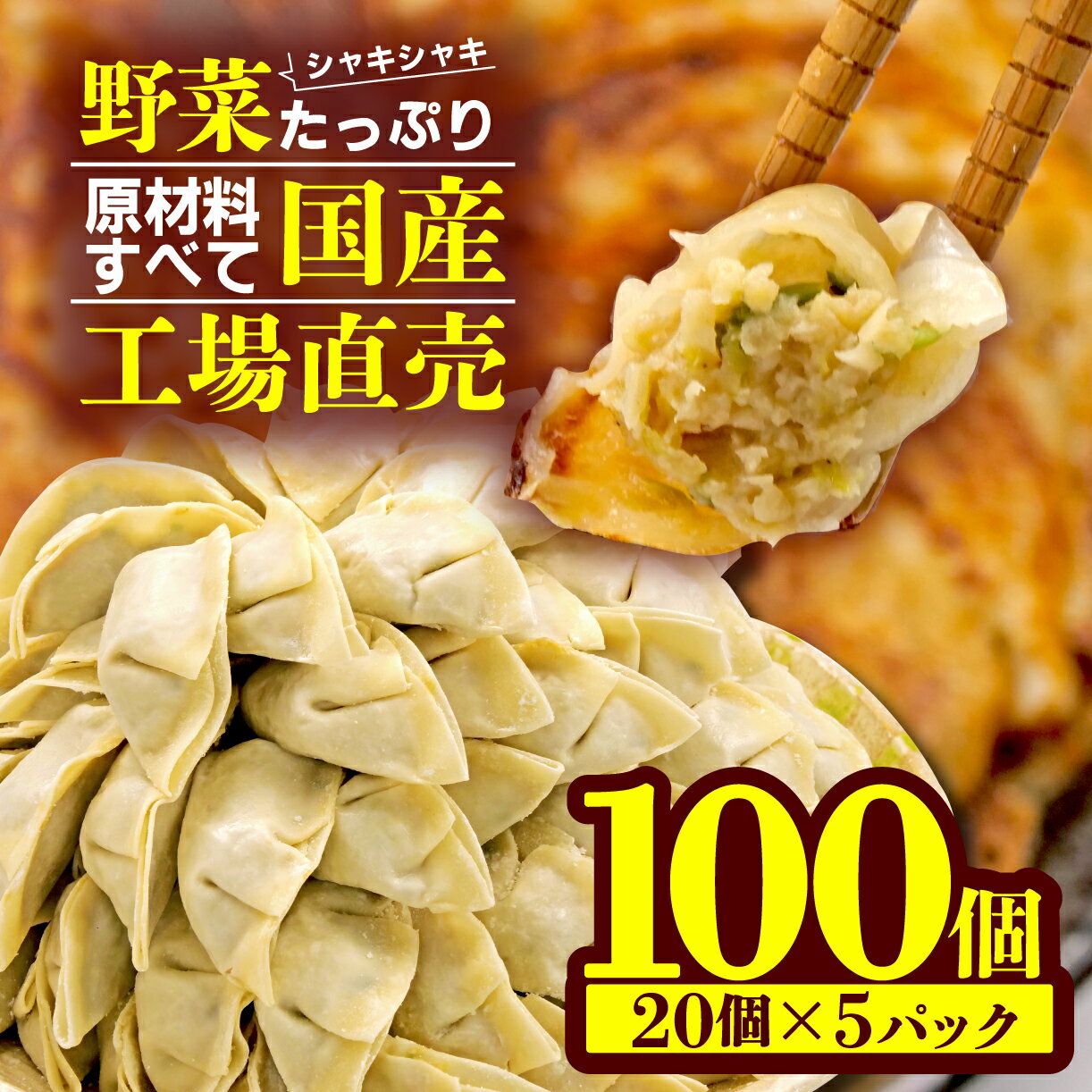 餃子 野菜 100個 20個 5パック ジューシー 冷凍 個分け 松福 国産 豚肉 おつまみ