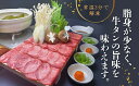 【ふるさと納税】 牛タン しゃぶしゃぶ 8人前 200g 4パック 800g スライス 牛肉 冷凍 沼津 2