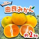 【ふるさと納税】 由良 みかん 約2kg 果物 フルーツ 西浦 蜜柑 柑橘 オレンジ 国産