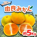 【ふるさと納税】 由良 みかん 約5kg 果物 フルーツ 西浦 蜜柑 柑橘 オレンジ 国産