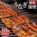 【ふるさと納税】 うなぎ 蒲焼 国産 鰻 10尾 1600g 匠 セット 真空 小分け 丑の日 沼津 うなよし