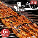 【ふるさと納税】 うなぎ 蒲焼 国産 鰻 4尾 白むし 2尾 計6尾 カット 肝 佃煮 1袋 真空 小分け 満腹 セット 丑の日 沼津 うなよし