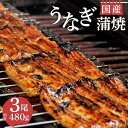 【ふるさと納税】 うなぎ 蒲焼 国産 鰻 3尾 480g セット 真空 小分け 丑の日 うなよし ウナギ カバヤキ 土用 夏 スタミナ 栄養 高タンパク 贈り物 ギフト 贈答用 グルメ 食品 調理簡単 沼津市 静岡県