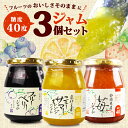 【ふるさと納税】 【糖度40度】ジャム3種セット 3種各1個 ブルーベリー イチゴ ニューサマー オレンジ フルーツ 贈答用 プレゼント 果実