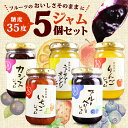 【ふるさと納税】 【糖度35度】ジャム5種セット 5種各1個 ブルーベリー イチゴ ニューサマー オレンジ カシス りんご フルーツ 贈答用 プレゼント 果実