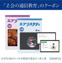【ふるさと納税】「Z会の通信教育」 クーポン 小学生向けコース 3000円分 教育 学習 通信 学び こども 幼児 クーポン Z会 株式会社Z会 静岡県 三島市