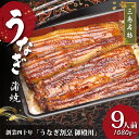 【ふるさと納税】 静岡 名産 うなぎ 蒲焼 9人前 1080g- 冷蔵 三島名物 老舗 うなぎ屋 真空パック 御殿川 極上 熟練 職人 土用丑の日 晩ごはん 家...