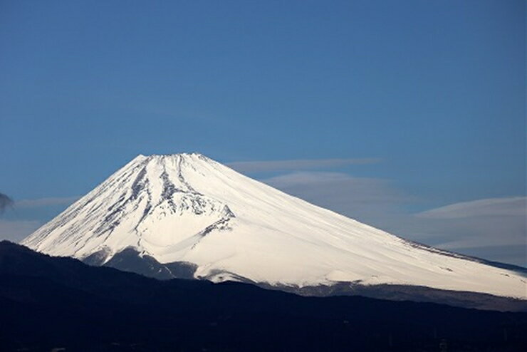 【ふるさと納税】空き家管理サービス+ゴミなんでも相談(月1回×12ヶ月 12回分)＜三島市内対象＞【空き家管理サービス+ゴミなんでも相談(月1回×12ヶ月 12回分) 三島市内対象 ココロの絆が安心につながる 建物外部目視点検、庭木の確認、郵便物確認 静岡県 三島市 】