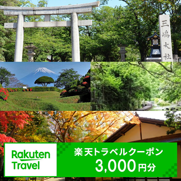  静岡県三島市の対象施設で使える楽天トラベルクーポン 寄附額10,000円【対象施設で使える　楽天トラベル　クーポン 寄附額　10,000円　楽天トラベルのサイトで利用できる電子クーポン 静岡県 三島市 】