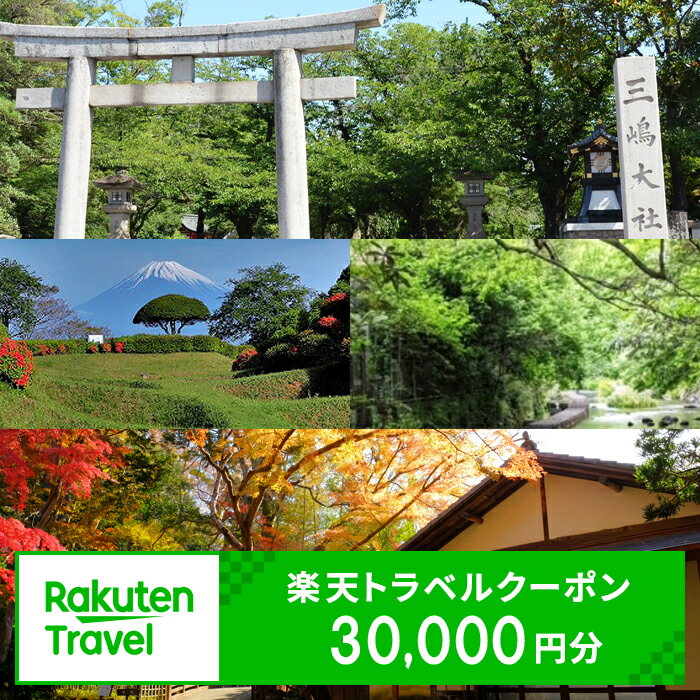 【ふるさと納税】 静岡県三島市の対象施設で使える楽天トラベルクーポン 寄附額100,000円【対象施設で使える　楽天トラベル　クーポン 寄附額　100,000円　楽天トラベルのサイトで利用できる電子クーポン 静岡県 三島市 】