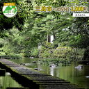 【ふるさと納税】(返礼品なし)静岡県三島市応援寄附金 寄付金額 1000円【 静岡県 三島市 】