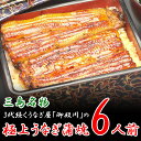 【ふるさと納税】三島名物うなぎ蒲焼(真空パック)6人前