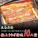 【ふるさと納税】三島名物うなぎ蒲焼(真空パック)10人前