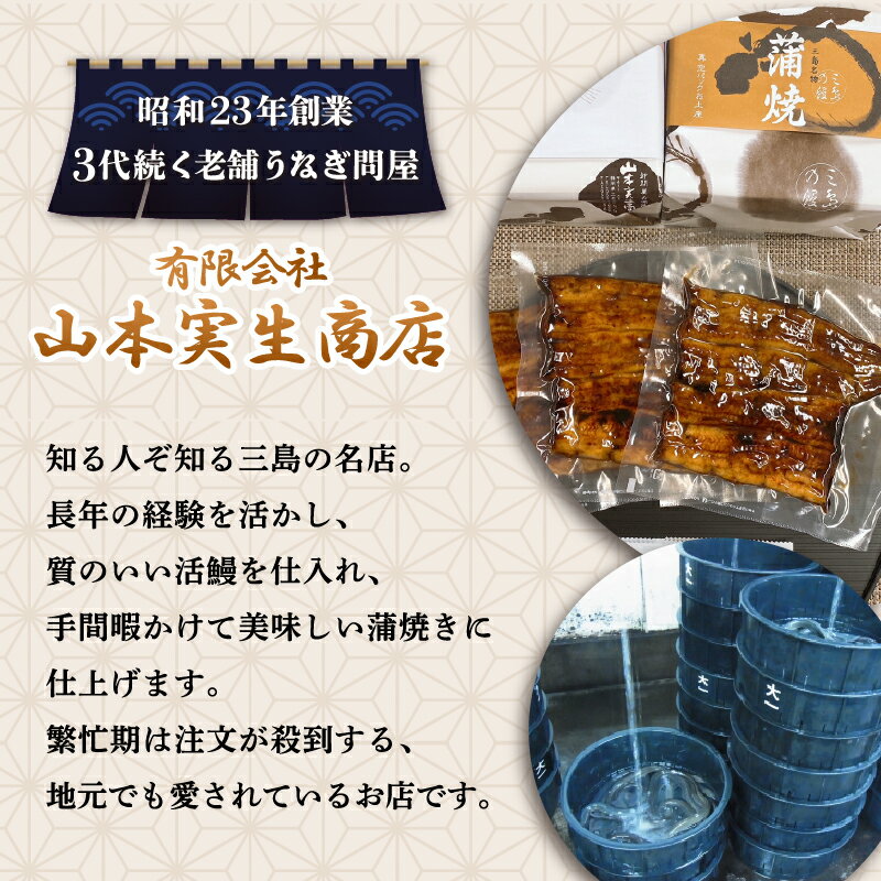 【ふるさと納税】 選べる配送月 《数量限定》 うなぎ蒲焼 冷蔵 老舗 鰻問屋 三島名物 うなぎ 蒲焼き 鰻 ウナギ 真空パック 浜名湖 土用丑の日 贈答用 惣菜 うな重 うな丼 伝統 贈り物 鰻料理 ウナギの蒲焼 和食 浜名湖うなぎ 山本実生商店 三島市 静岡県
