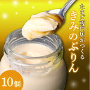 【ふるさと納税】 プリン きみのぷりん 10個 スイーツ お菓子 甘味 デザート 濃厚 カラメル 三島ブランド 日の出たまご 卵 たまご エッグ 贈り物 ギフト プレゼント おやつ 手土産 おすすめ 人気 絶品 美味しい おいしい 老舗 洋菓子 ご当地 名物 特産品 三島市 静岡県