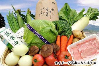 【ふるさと納税】旬の野菜とお肉の詰め合わせ 