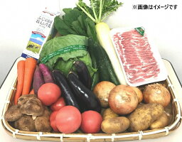 【ふるさと納税】A−02−02.旬の野菜とお肉の詰め合わせ