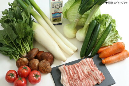 野菜 セット 旬の野菜とお肉の詰め合わせ　送料無料 静岡県 富士宮市