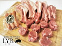 【ふるさと納税】ルイビ豚 スペアリブ&フィレセット 豚肉 スペアリブ フィレ肉 ヒレ肉 ソーセージ 詰め合わせ ブランド豚 送料無料 静岡県 富士宮市