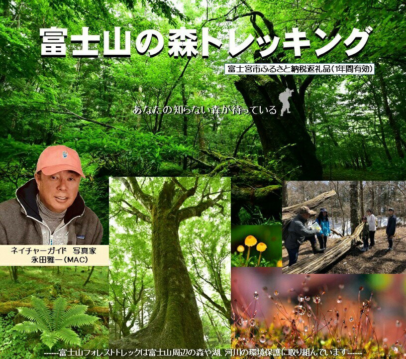 【ふるさと納税】富士山の森トレッキング　親子ペアコース（大人1名・小中学生1名）体験 自然 ガイド付き エコツアー　送料無料 静岡県 富士宮市