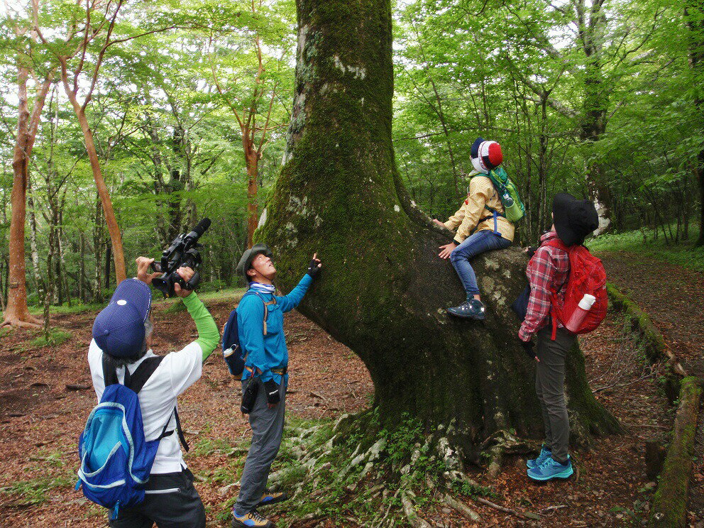 【ふるさと納税】富士山の森トレッキング　親子ペアコース（大人1名・小中学生1名）体験 自然 ガイド付き エコツアー　送料無料 静岡県 富士宮市