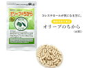 【ふるさと納税】サプリメント「オリーブのちから」機能性表示食品　（60粒）30日分 健康食品 加工食品 栄養補助食品　送料無料 静岡県 富士宮市