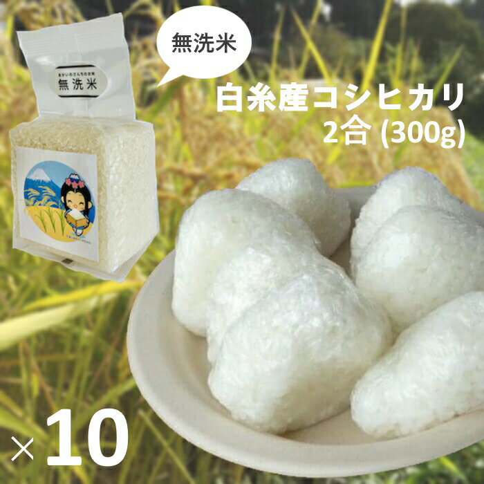 【ふるさと納税】【無洗米】白糸産コシヒカリ　2合（300g）