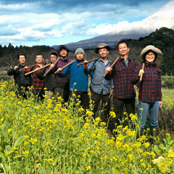 【ふるさと納税】富士山麓オーガニックファーマーズ 旬の野菜セット 送料無料 静岡県 富士宮市