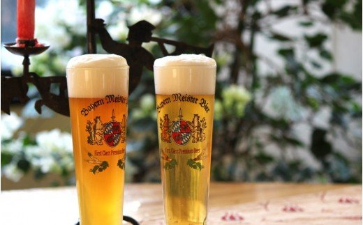 【ふるさと納税】富士山の水を使った地ビール バイエルンマイスタービール 48本セット　330ml 瓶 ビール 地ビール 送料無料 静岡県 富士宮市