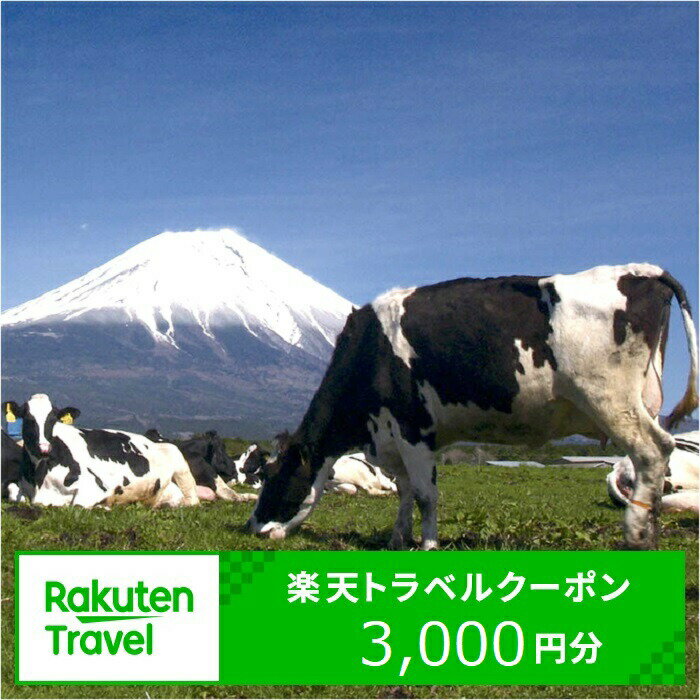 【ふるさと納税】静岡県富士宮市の対象施設で使える楽天トラベルクーポン 寄付額 10,000円 国内 旅行 ...