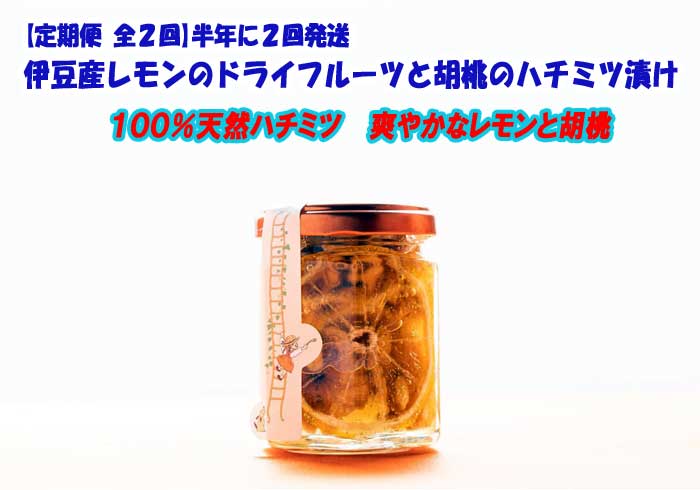 G2*[定期便 全2回]伊豆産レモンのドライフルーツと胡桃のハチミツ漬け 半年に2回発送