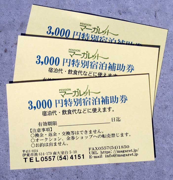 ペンションマーガレット 特別宿泊補助券3,000円×1枚