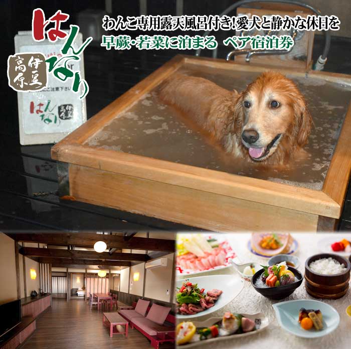 愛犬と泊まる人気温泉宿 はんなり伊豆高原 部屋No「早蕨・若菜」に泊まる ペア宿泊券(1泊2食付)