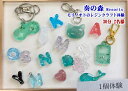 【ふるさと納税】静岡県伊東市 奏の森リゾート 奏の森Resorts内モリノオトのレジンクラフト体験30分(2名様)