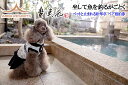 【ふるさと納税】ABBA RESORT IZU-坐漁荘 ペットと宿泊できる離れ露天風呂付き松琴亭 ペア宿泊券(1泊2食付)