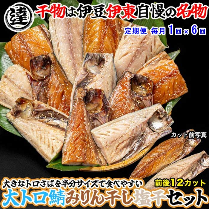 W06【ふるさと納税】【定期便 全6回】伊豆・伊東 丸達水産 人気No.1 さばみりん6切＆しおさば6切 食べやすいハーフカットセット 毎月1回×6回