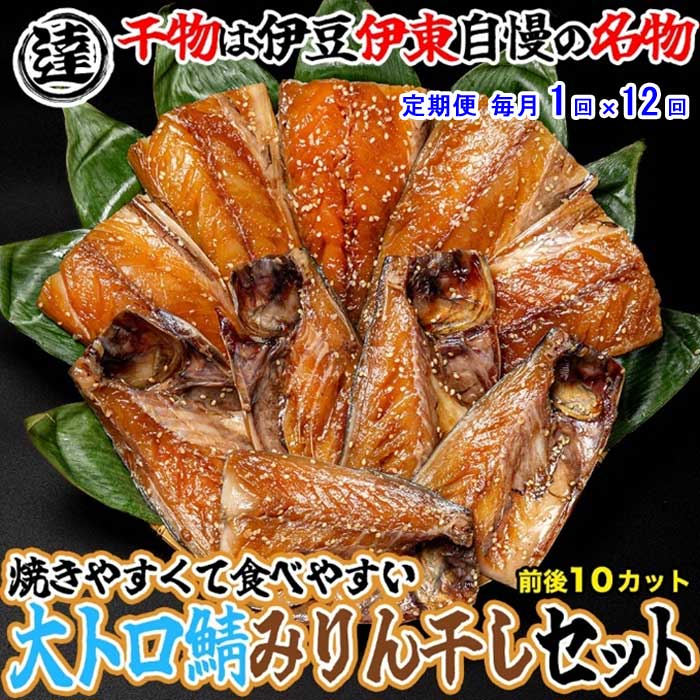 W12【ふるさと納税】【定期便 全12回】伊豆・伊東 丸達水産 人気No.1 さばみりん 10切セット 食べやすいハーフカット 毎月1回×12回