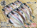 W12【ふるさと納税】【定期便 全12回】創業32年 自社工場 製造直売 完全無添加 伊豆・丸達 真あじひもの7枚セット 毎月1回×12回(4)