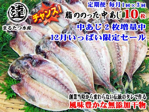 W03【ふるさと納税】【定期便 全3回】創業32年 自社工場 製造直売 完全無添加 伊豆・丸達水産 脂ののった中あじ ひもの10枚+2枚 合計12枚セット 中あじひもの2枚増量中 今がチャンス 12月いっぱい限定セール 毎月1回×3回